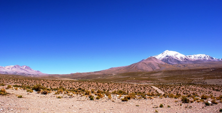 Feuchtgebiet im Norden von Chile