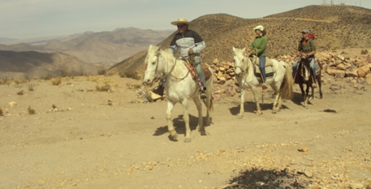 Cabalgatas en Putre