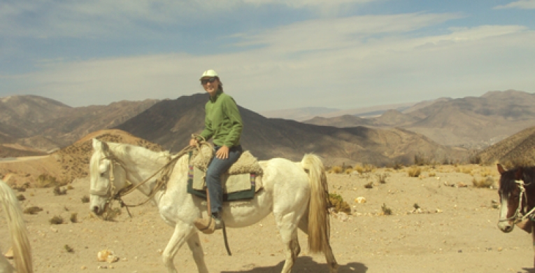 Cabalgatas en Putre