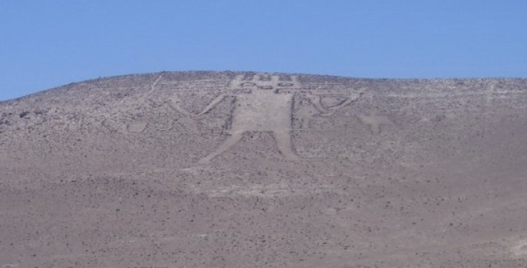 Gigant der Atacama