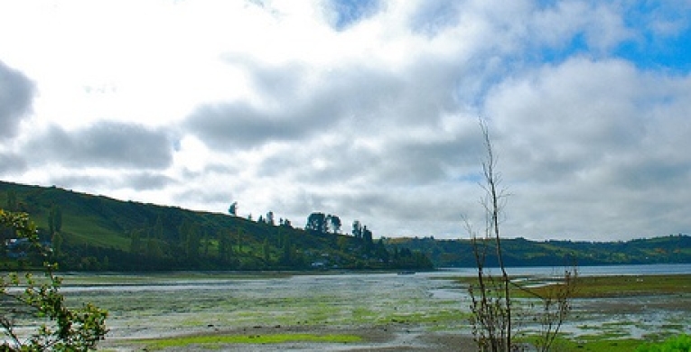 Humedales de Chiloé. Ecosistema Fascinante.