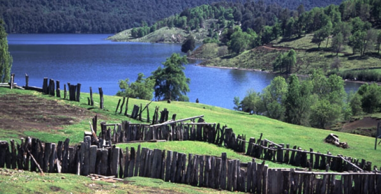 Lago Icalma, Belleza Perdida en la Araucaní­a 