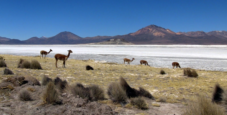 Practica turismo responsable y sostenible durante tus vacaciones