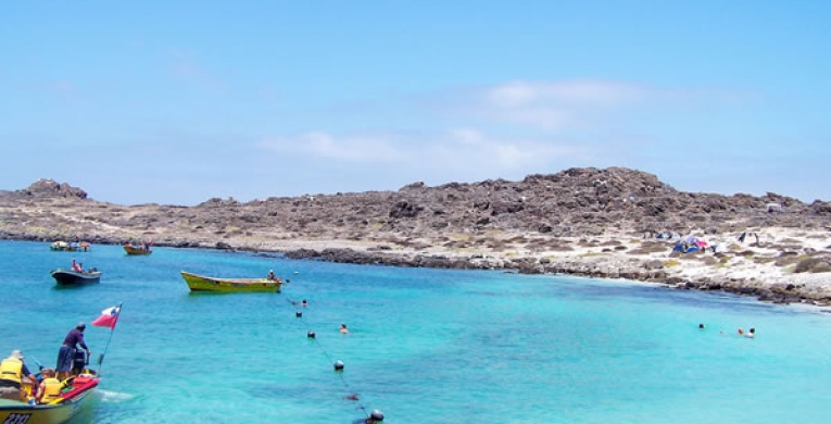 Las Maravillas del buceo en Punta de Choros. Chile.