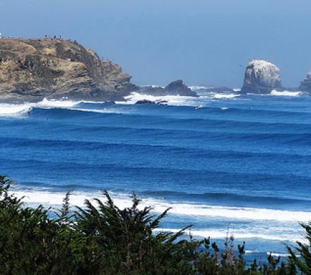 Pichilemu. La combinación perfecta entre mar y campo.