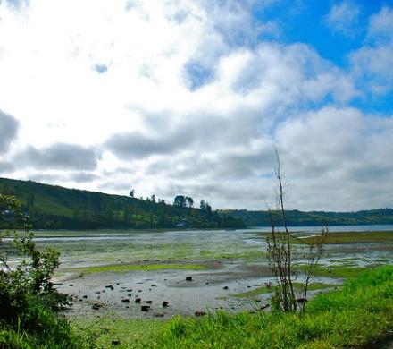 Humedales de Chiloé. Ecosistema Fascinante.