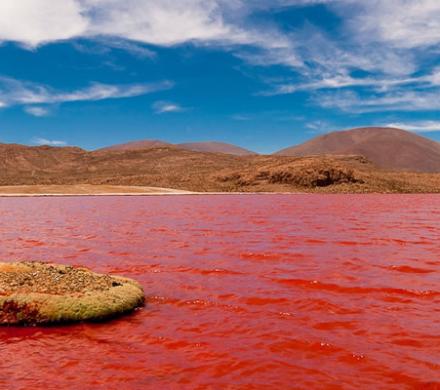 La Lagune Rouge du Chili. Un Paysage saisissant.