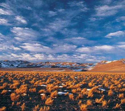 Destino Turí­stico: Copiapó y Volcán Ojos del Salado.