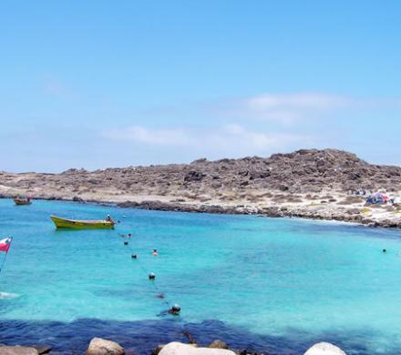 Las Maravillas del buceo en Punta de Choros. Chile.