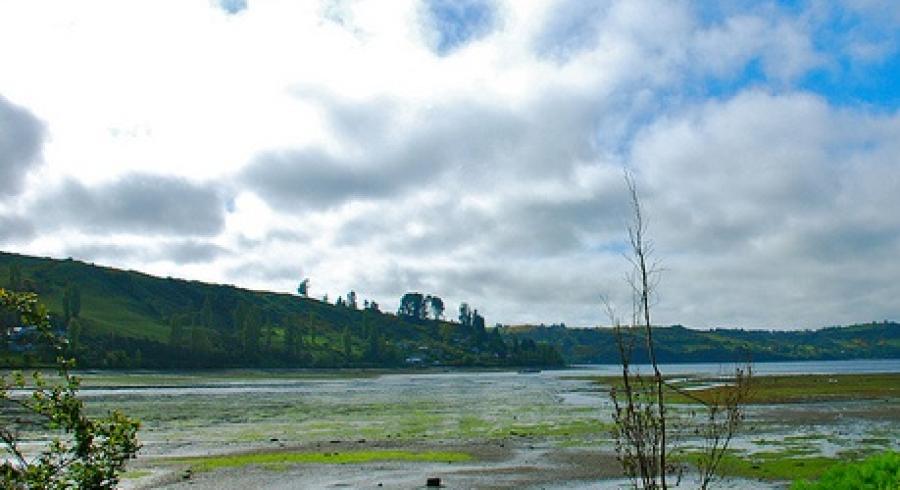 Humedales de Chiloé. Ecosistema Fascinante.