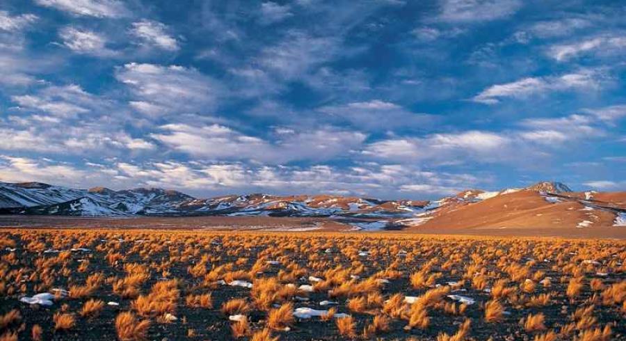 Destino Turí­stico: Copiapó y Volcán Ojos del Salado.