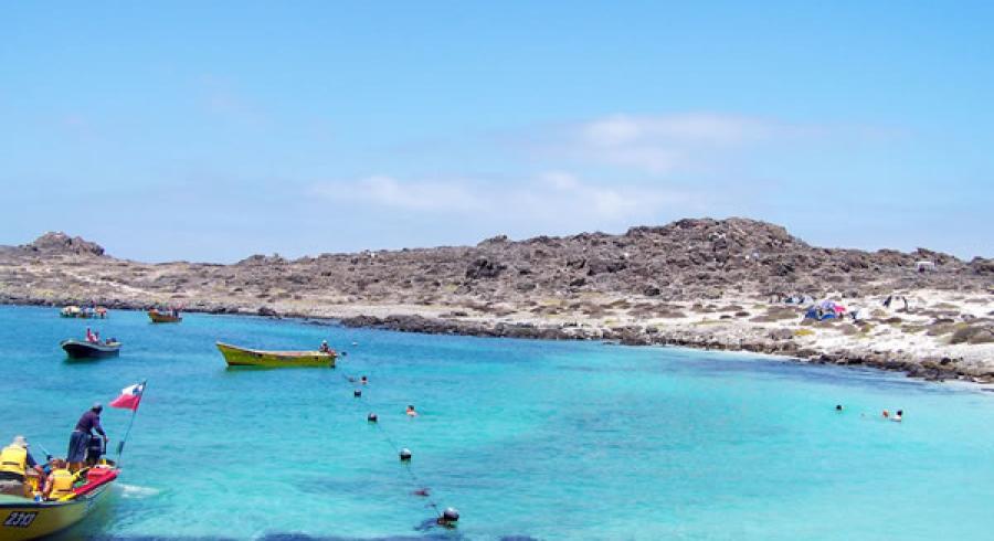 Las Maravillas del buceo en Punta de Choros. Chile.