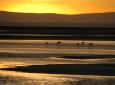 Reise und Ausflug nach San Pedro de Atacama, Tal des Mondes - Lagunen im Hochland - Geysirs del Tatio (5 Tage/ 4 Nächte)