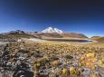 Viaje desde el Desierto de Atacama - Parque Nacionales - Altiplano Chileno. (8 días/7 noches)