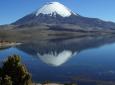 Reise nach Putre - Nationalpark Lauca - See Chungara - Putre (1 Tag)