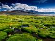 Journée entire Arica - Parc National Lauca - Arica