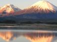 Reise nach Putre - Nationalpark Lauca - See Chungara - Arica (1 Tag)