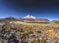 Reise Atacama-Wüste - Nationalparks - Chilenisches Hochland (8 Tage/ 7 Nächte)