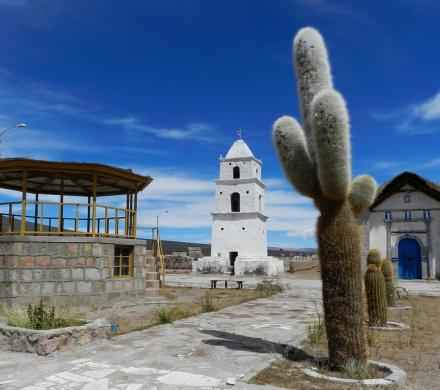 Reise nach Arica - Nationalpark Lauca - Salzsee Surire - Nationalpark Vulkan Isluga - Colchane - Iquique (4 Tage/ 3 Nächte)