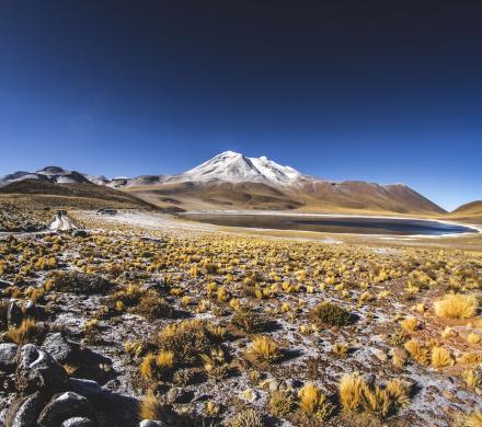 Voyage depuis le Desert d'Atacama - Parcs Nationaux - Altiplano Chilien (8 jours/7 nuits)