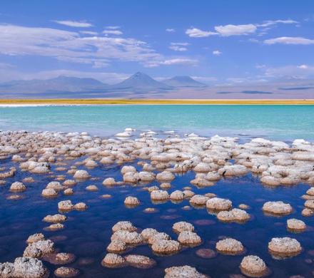 Journey and Tour Salt Lakes, Lakes, Desert, Volcanoes, National Parks, National Reserves of Chile (8 days/ 7 nights)