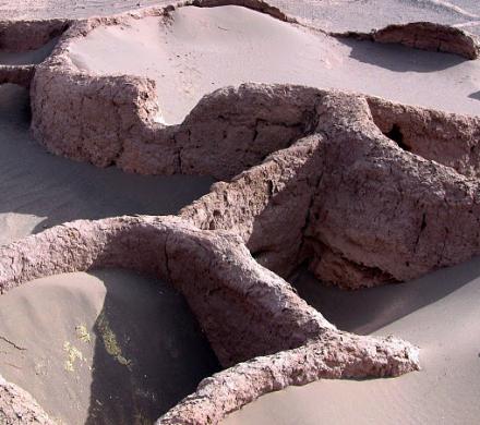 Tourisme à  Atacama. Archéologie, Vallée de la Lune, Lagune Cejar, Lagunes Altiplaniques, Geysers del Tatio (6 jours/5 nuits)