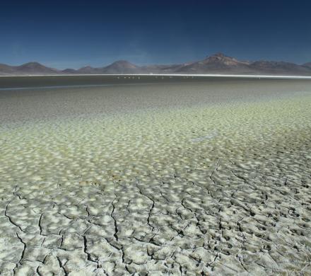 Reise und Tour Salzseen von Chile: Salzsee Surire - Salzsee Huasco - Salzsee Copasa - Salzsee der Atacama (8 Tage/ 7 Nächte)