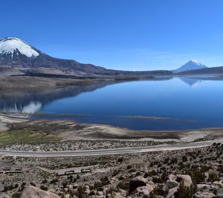 Voyage à  Arica - Putre - Parc National Lauca - Lac Chungara - Arica (2 jours/1 nuit)