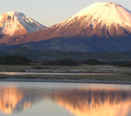 Reise nach Putre - Nationalpark Lauca - See Chungara - Arica (1 Tag)