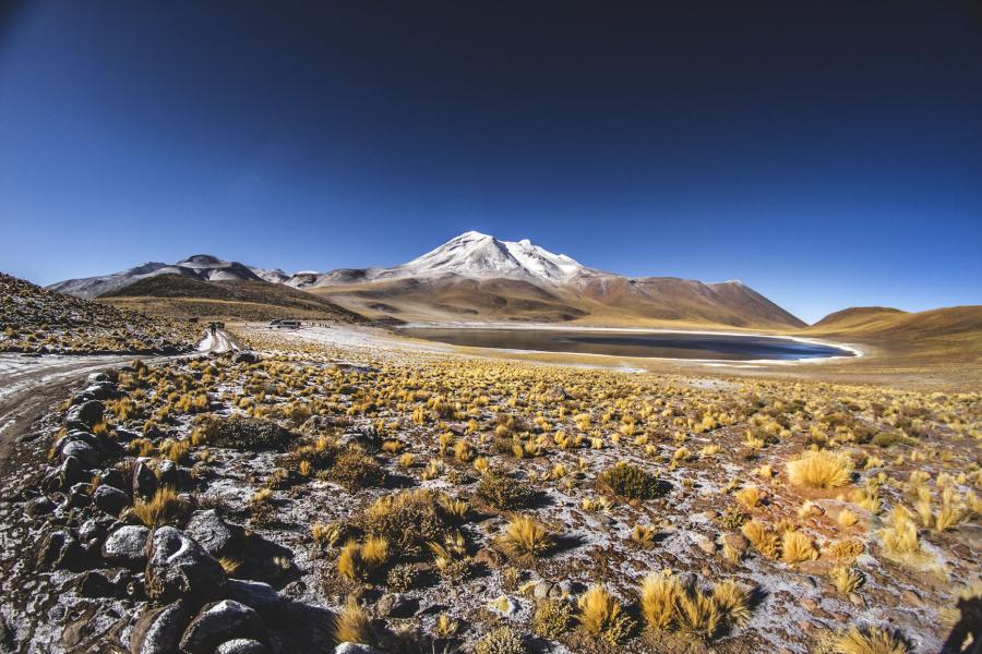 Viaje desde el Desierto de Atacama - Parque Nacionales - Altiplano Chileno. (8 días/7 noches)