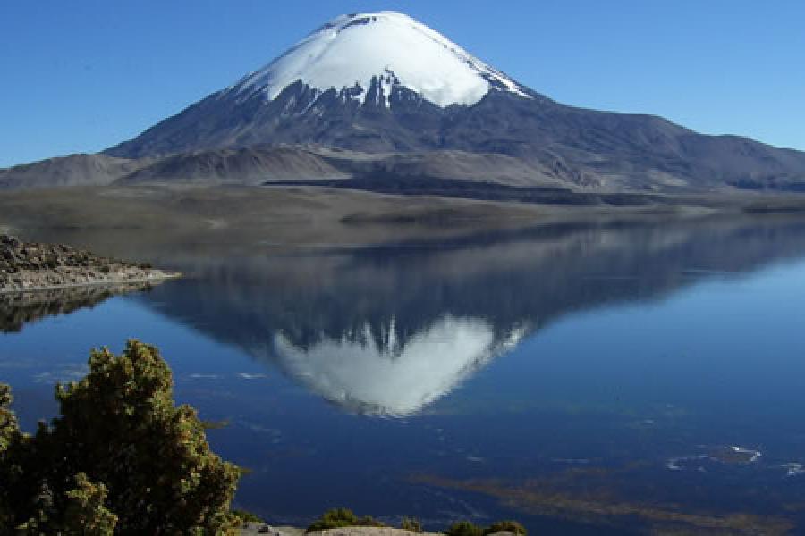 Reise nach Putre - Nationalpark Lauca - See Chungara - Putre (1 Tag)