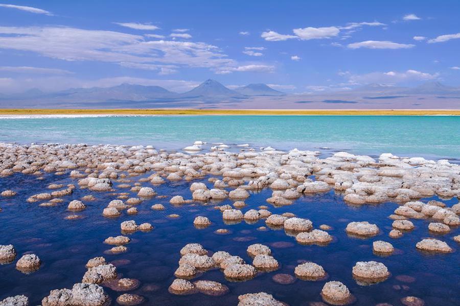 Journey and Tour Salt Lakes, Lakes, Desert, Volcanoes, National Parks, National Reserves of Chile (8 days/ 7 nights)