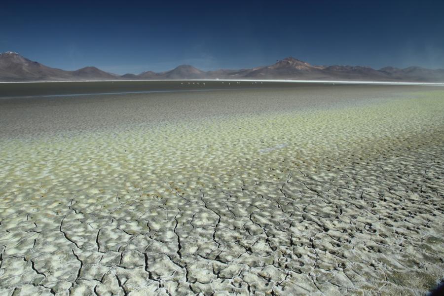 Reise nach Arica - Dörfer der Prekordillere - Putre - Nationalpark Lauca - Salzsee Surire - Colchane - Iquique (5 Tage/ 4 Nächte)