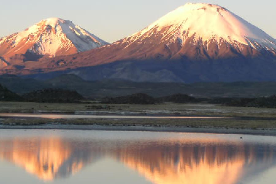 Reise nach Putre - Nationalpark Lauca - See Chungara - Arica (1 Tag)