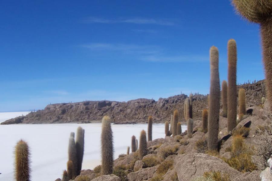 Turismo: Altiplano - Salar de Uyuni Bolivia - Atacama Chile (10 dí­as/9 noches)