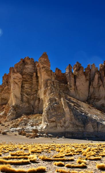 Viaje desde el Desierto de Atacama - Parque Nacionales - Altiplano Chileno. (8 días/7 noches)