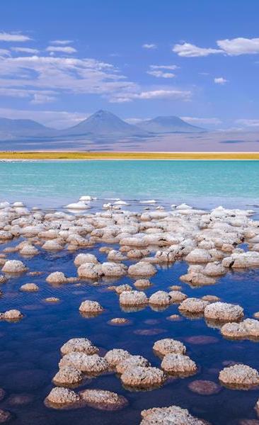 Journey and Tour Salt Lakes, Lakes, Desert, Volcanoes, National Parks, National Reserves of Chile (8 days/ 7 nights)