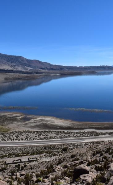 Reise nach Putre - Nationalpark Lauca - See Chungara - Arica (1 Tag)