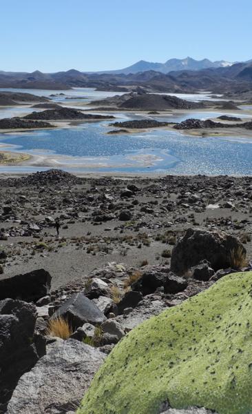 Putre - Parc Nacional Lauca - Lac Chungara - Putre (1 Jour)