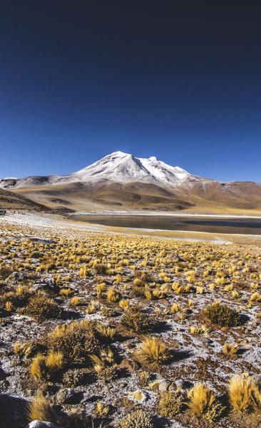 Viaje a Atacama, Lagunas Altiplánicas - Salar de Atacama - Arqueológico (4 dí­as/3 noches)