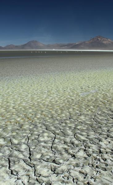 Viaje a Arica - Putre - Lago Chungará - Parque Nacional Lauca - Salar de Surire - Arica. (3 días/2 noches)