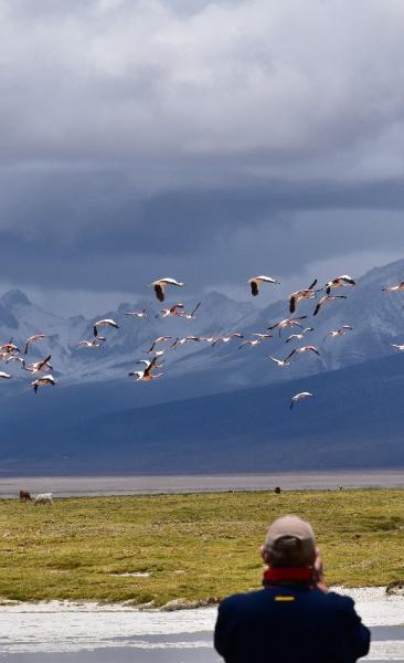 Journey to Iquique - Colchane - Salt Lake Surire - National Park Lauca - Lake Chungara - Arica (4 days/ 3 nights)