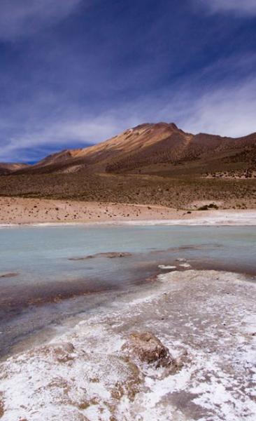 Journey to Putre - Vicuña National Reserve - Salt Lake Surire - Colchane - Iquique (2 days/ 1 night)