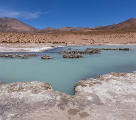 Journey to Arica - Putre - Lake Chungara - National Park Lauca - Salt Lake Surire - Arica (3 days/ 2 nights)