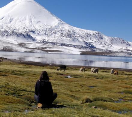 Journey to Arica - Putre - National Park Lauca - Lake Chungara - Arica (2 days/ 1 night)