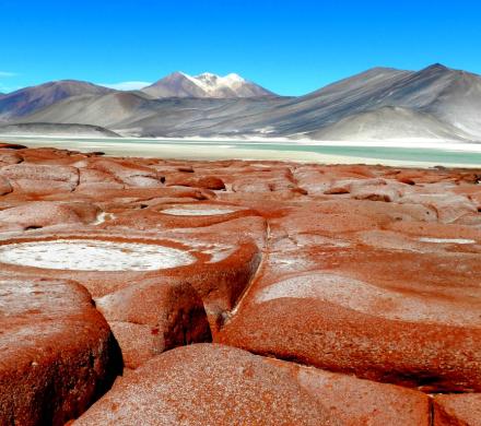 Viaje y Tours Atacama, Laguna Cejar - Lagunas altiplánicas Miscanti y Miñiques - Geyser del Tatio (4 días/3 noches)