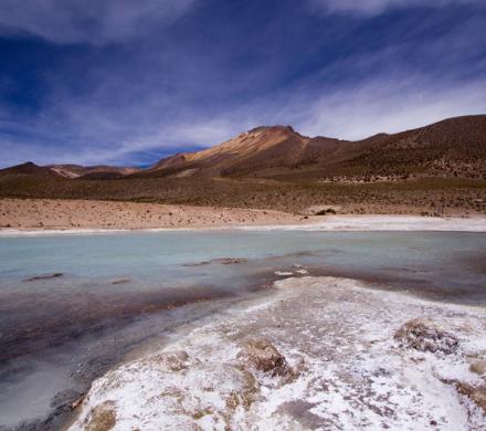 Viaje a Putre - Reserva las Vicuñas - Salar de Surire - Colchane - Iquique. (2 días/1 noche)