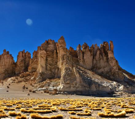 Journey to the Atacama, Highland Lagoons - Salt Lake Atacama - Archaeological Tour (4 days/ 3 nights)