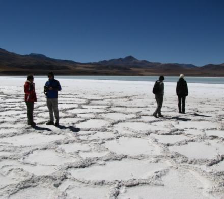 Tour y Excursión - San Pedro de Atacama - Petroglifos  de Hierbas Buenas - Valle del Arco Iris - Salar de Tara (5 dí­as/4 noches)