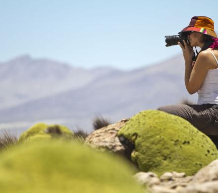 Viaje a Putre - Reserva Nacional las Vicuñas - Salar de Surire - Putre. (1 día)